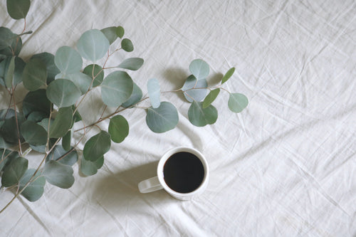 eucalyptus plant and cup of coffee on bed sheet