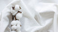 Organic Cotton Bedding: Skin-Friendly, Planet-Friendly & Better for Sleep