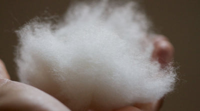 What Is Vegan Bedding? A Veganuary Guide to Plant-Based, Ethical Sleep