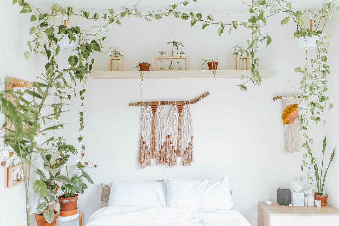 bedroom decorated with plants