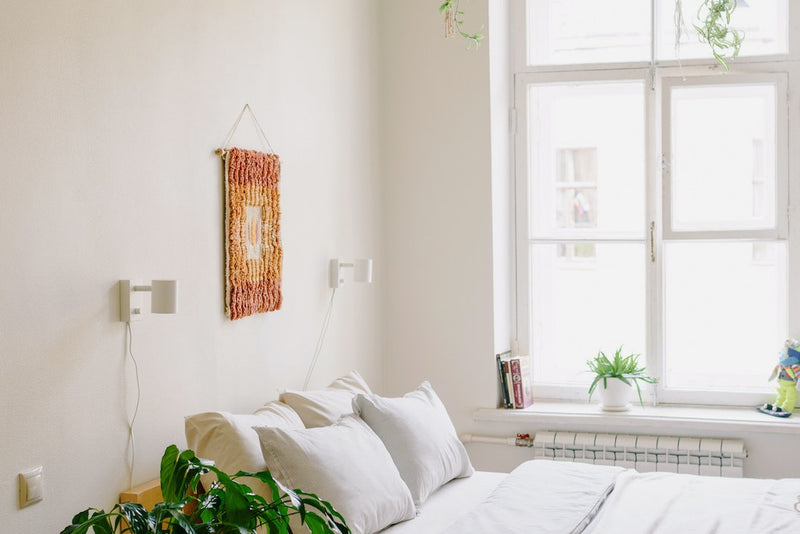 nature inspired white bedroom with a plant
