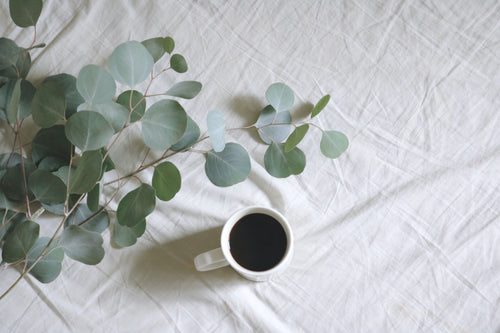 eucalyptus plant and cup of coffee on bed sheet