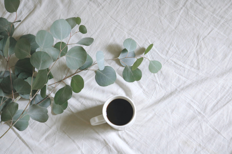 eucalyptus plant and cup of coffee on bed sheet