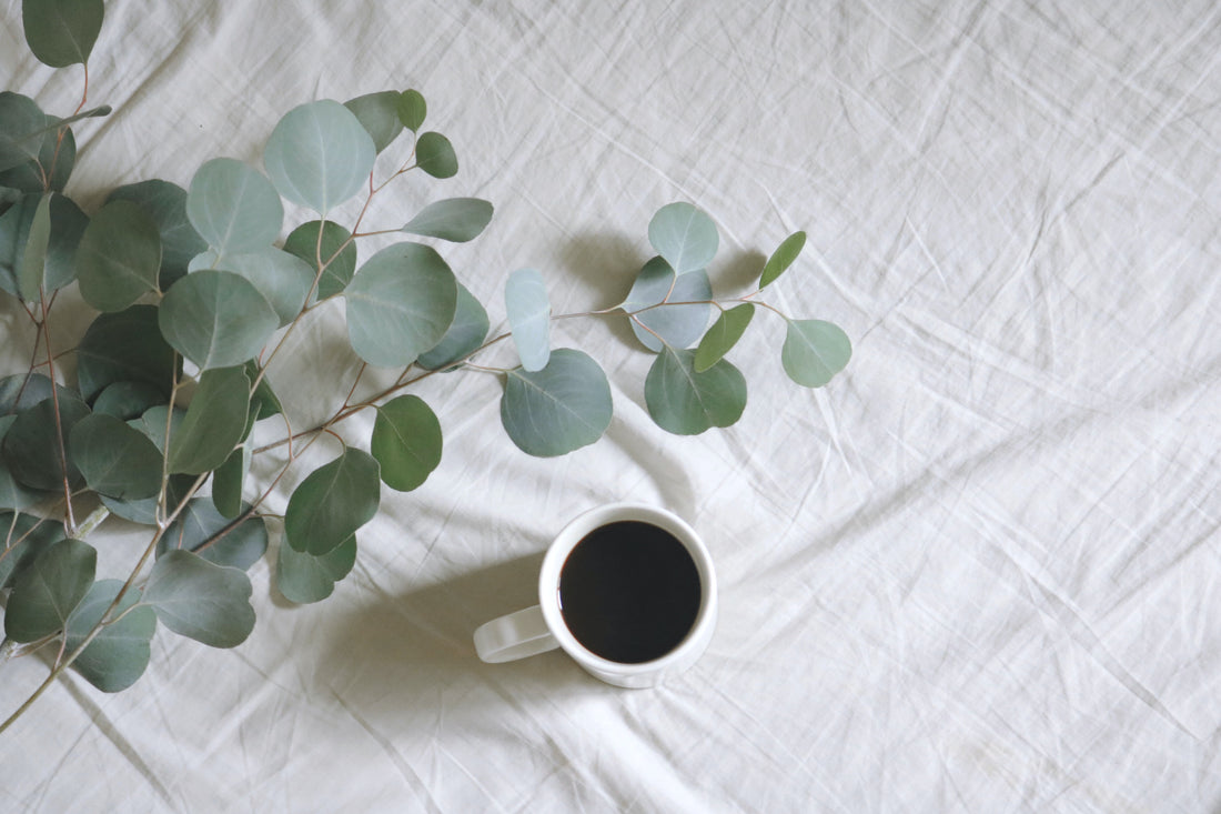 eucalyptus plant and cup of coffee on bed sheet