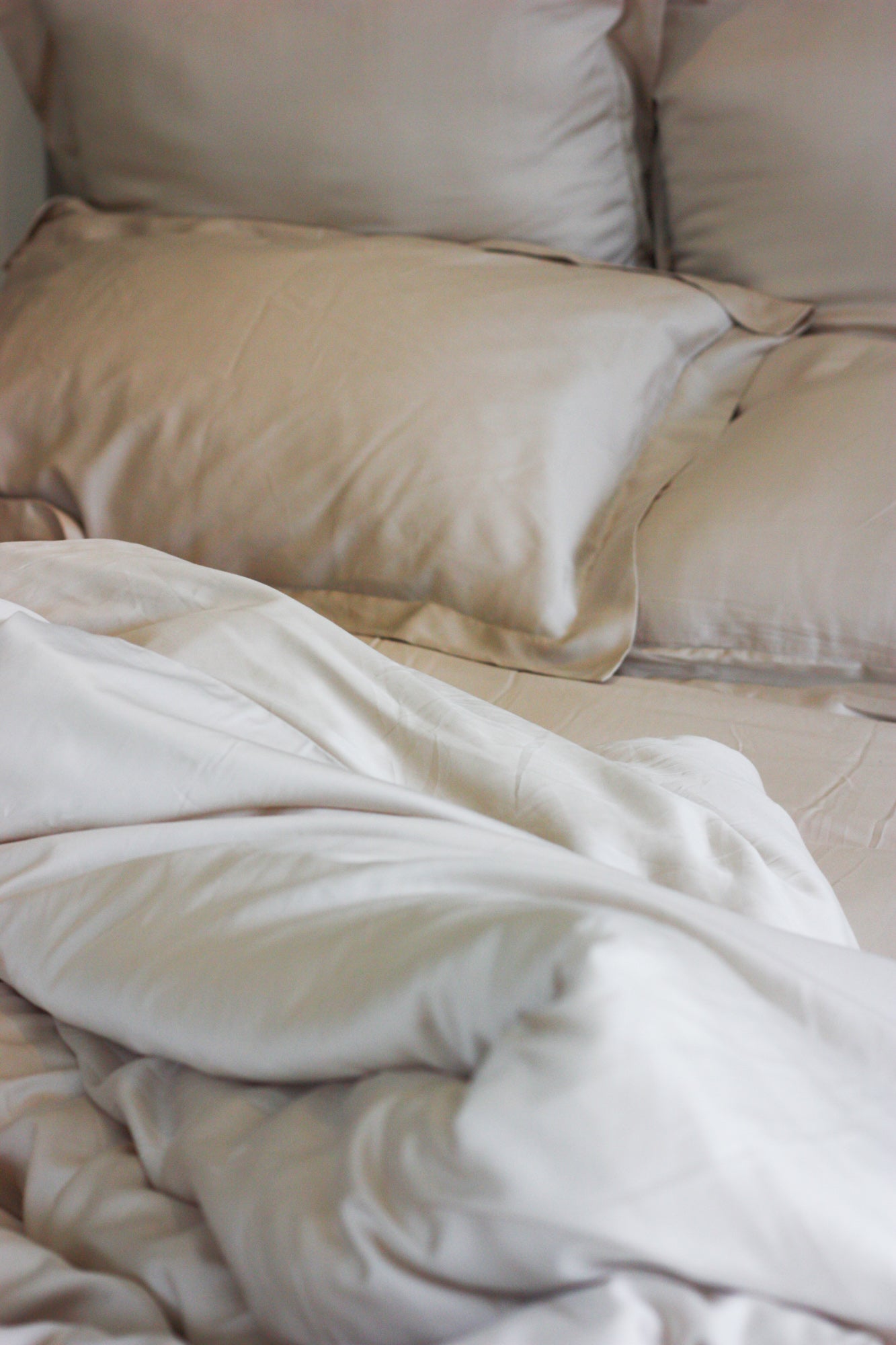 New In Products & Ranges