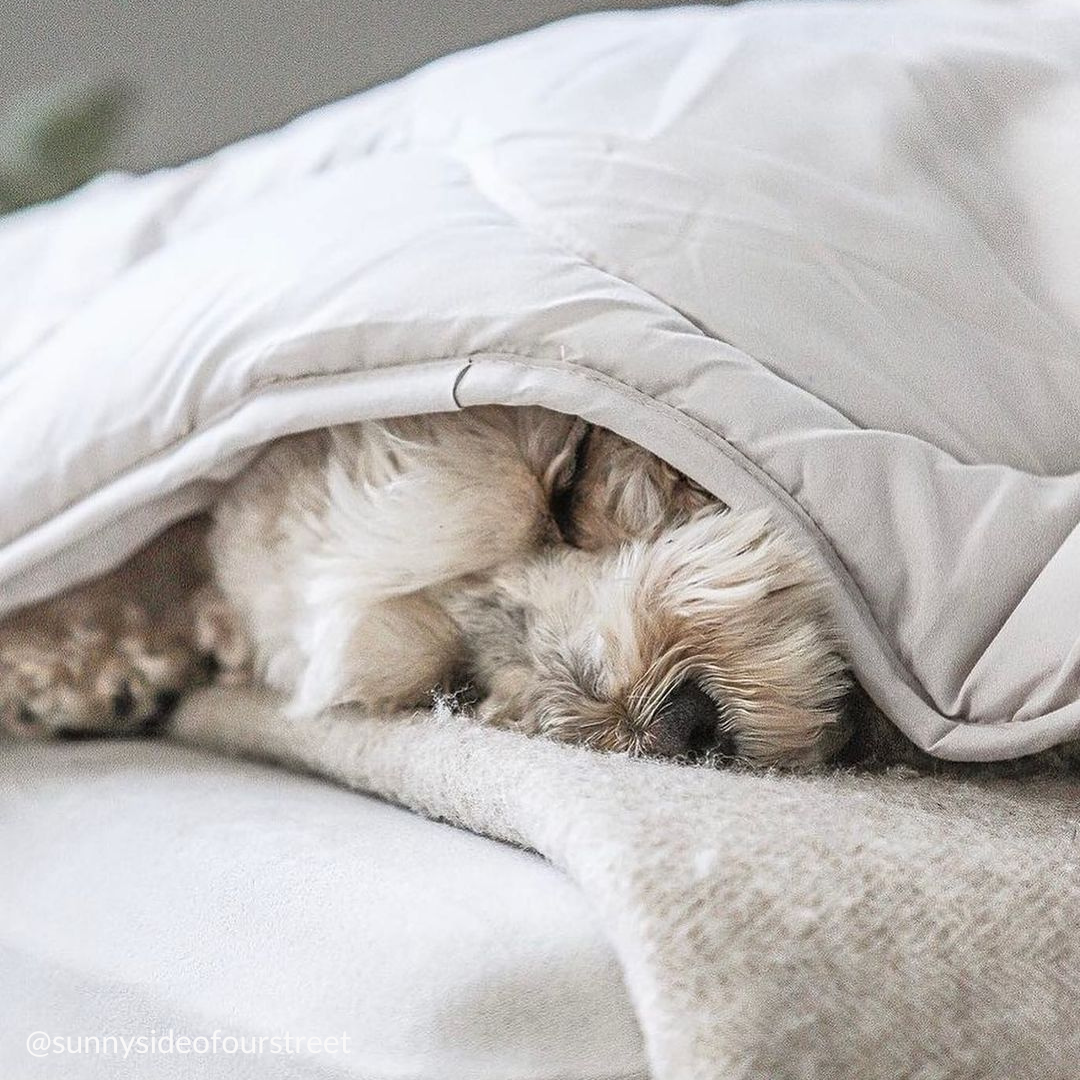 Ethical weighted blanket hotsell