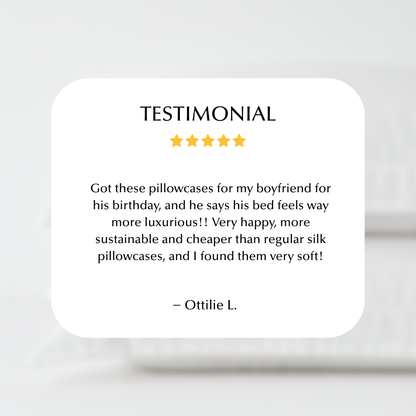 Cool & Comfy Silk Pillowcase Pair (Eucalyptus)