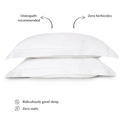 Sleepyhead Silk Pillow Set in White (Top Seller)